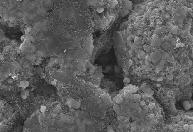 Conventional SEM Scan